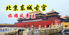 美少妇的逼被干的高潮连连中国北京-东城古宫旅游风景区